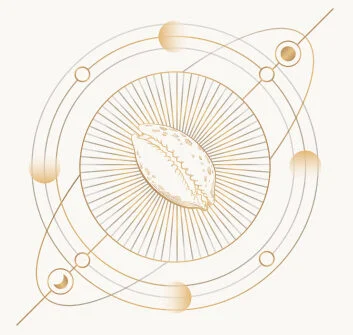 astrology pandit near me